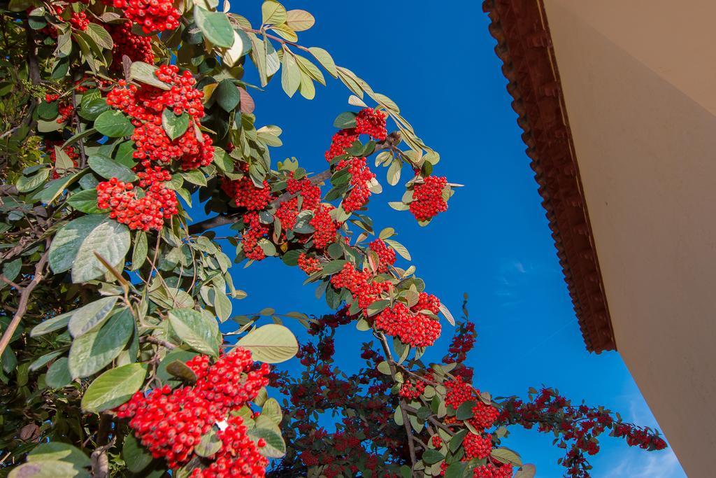 Villa Tu Casa En Barcelona Sant Cugat del Vallès Zimmer foto